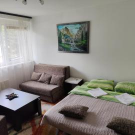 Apartman Sutjeska, מלון בטיינטישטה