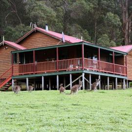 Walpole Wilderness Resort, Hotel in Walpole