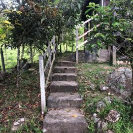 Cabaña El Bosque, Hotel in Turrialba