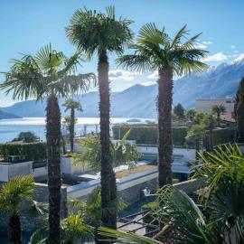 Apartment Junior Suite Classic - Isole di Brissago by Interhome