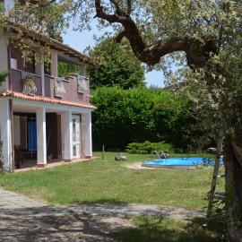 Il colle degli olivi