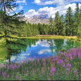 Appartement sur le Parc des Ecrins