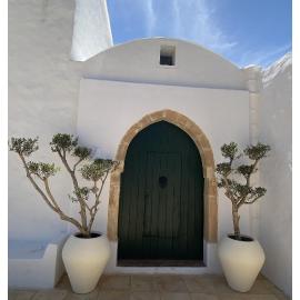 Menzel NOUR Djerba, hotel in Mellita