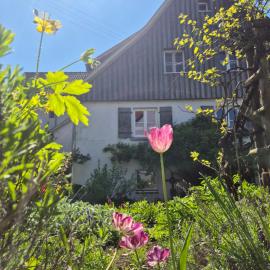 Maison Fuchs - Fantastisches ehemaliges Bauernhaus mit Garten, WiFi und BBQ