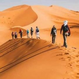 Tasnim Désert Camp & Activités