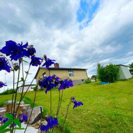 Lovely Home, hotel en Högsby