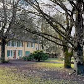 La clé de la forêt