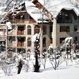 Silverstone Mansions Cottages, hotel in Manāli