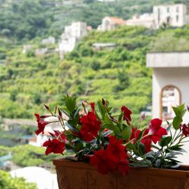 Casa Nonna Angela- Relax & Parcheggio Privato