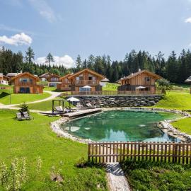 Lerchpeuntgut Almchalets, hotel u gradu Tamsveg