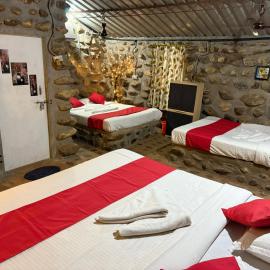 Jungle Book Resort, Hotel in Collem