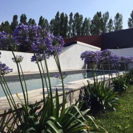Belle villa avec piscine, proche plage et centre de Saint-Jean-de-Luz - FR-1-239-718