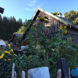 Roubenka na Šumavě, hotel di Zdíkov