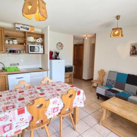 Appartement au pied des pistes avec terrasse, animaux admis, Flumet - FR-1-505-36