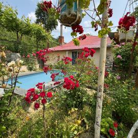 Ambrolauri में, होटल Friendly Cottage with small Pool