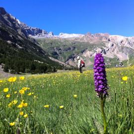 Hostel-Albergue Monte Perdido โรงแรมในตอร์ลา