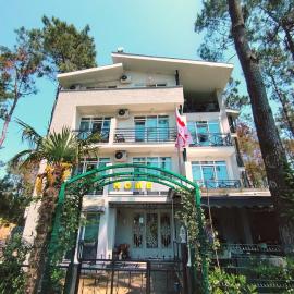 Home Shekvetili