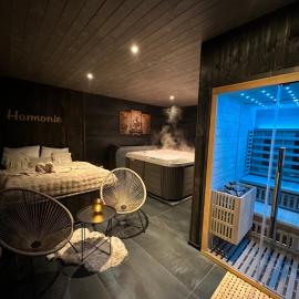 Wooden SPA, hotel in Hradec Králové