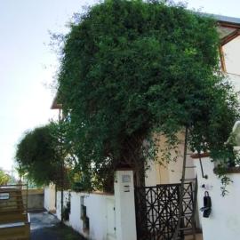 Villa Maria