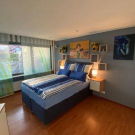 Ilonas Home