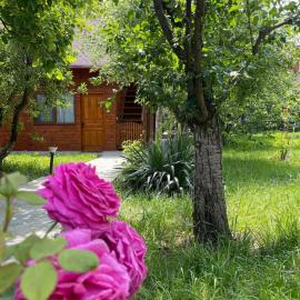 Cabana Maria, Cozia-Calimanesti, hotell i Caciulata
