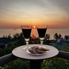 Seaside apartment_abuseridze