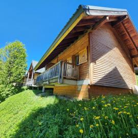 Chalet 6 à 8pers pied des pistes, piscine et vue, hotell sihtkohas Saint-François-Longchamp