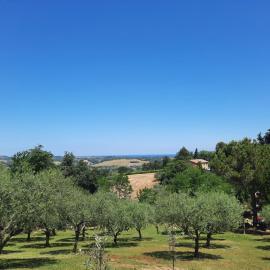 Casa Vacanze Stefania