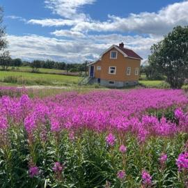 Bogstrand, Dverbergveien 11, 8485 Dverberg, hotel Dverberg városában