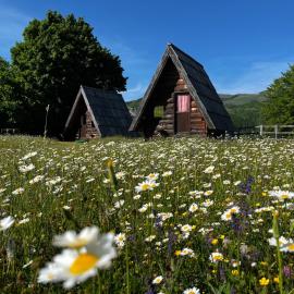 Jatak Cabins and Camping, hotel en Petnjica