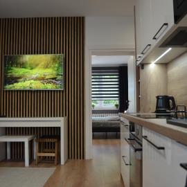 Apartment Reden Park - Free Parking - easy check-in, khách sạn ở Chorzów
