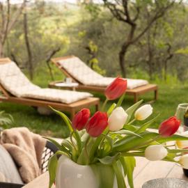Villa Caprisa mirno zavetje blizu Kopra - Villa Caprisa Peaceful Hideaway Near Koper