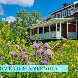 Family house near Tiveden National Park with fireplace, grand piano and 10,000 sqm property, hotel en Finnerödja