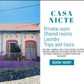 Nicte Guesthouse