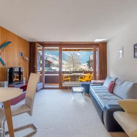 Mountain View Apartment In The Vacation Center