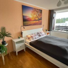 Ferienwohnung in Freudenstadt-Kniebis III