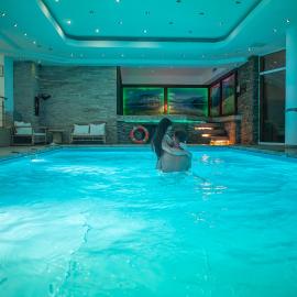 Hotel Carpathia, מלון בסינאיה