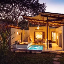 Monkey Suites