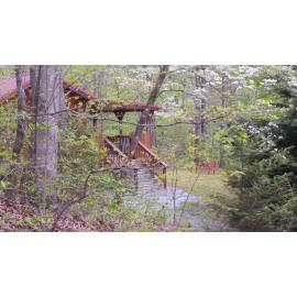 Cabin in the Woods-Peaceful 1BR 20-Acre Rural Retreat-HotTub&WiFi near Asheville, hotel in Hendersonville