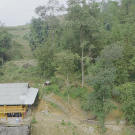 Local Homestay, hotel in Giang Tả Tchay
