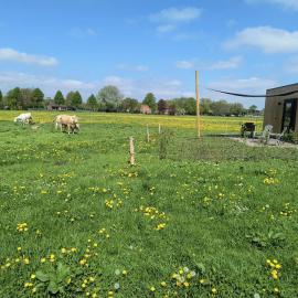 Natuurhuisje 't Hoogbos - Weidezicht