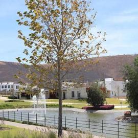 Todo lo que necesitas Adamar!, hotel i Tlajomulco de Zúñiga