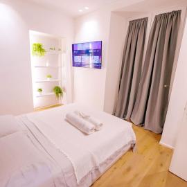 Central-Luxury Free Wi-Fi, AC, Hotel in Genua