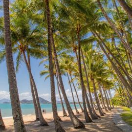 Cove Hideaway - Palm Cove