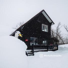 Lucky Duck Cabin Myoko
