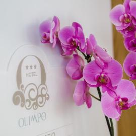 Hotel Olimpo