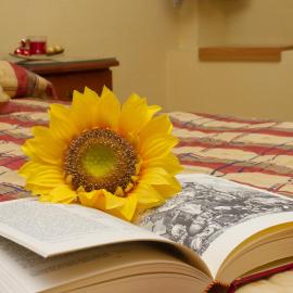 Hostal Siete Picos, hotelli kohteessa El Espinar