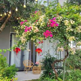 Tropical Villa 3 bedrooms at Venus Resort by Flamingo- free entry ticket