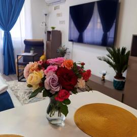 Blue Shades Studio