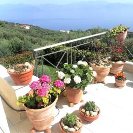 White Hill Platanos, ξενοδοχείο στην Ακράτα